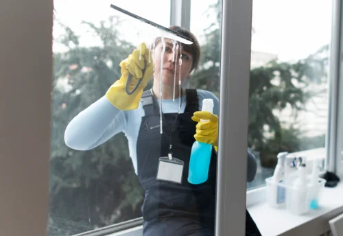 Nettoyage de vitres intérieures et extérieures à Pruno